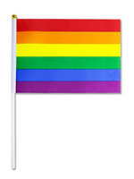 Pride Flagge small