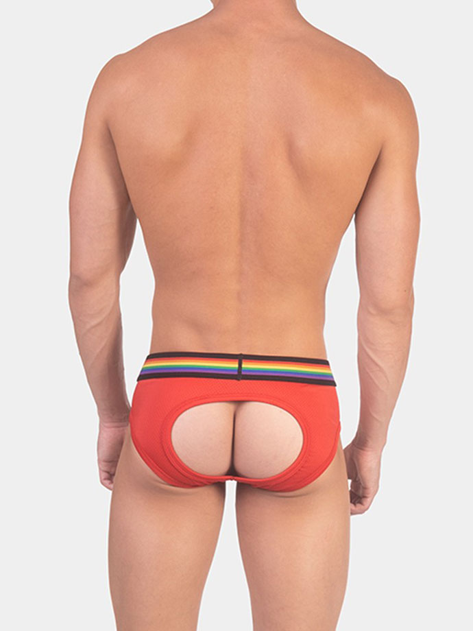 https://new.poppers.com/images/product_images/popup_images/91924_barcode_backless_brief_pride_orange__3.jpg
