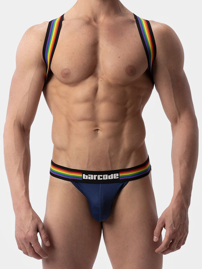 https://new.poppers.com/images/product_images/popup_images/92244_barcode_harness_pride_eternity__1.jpg