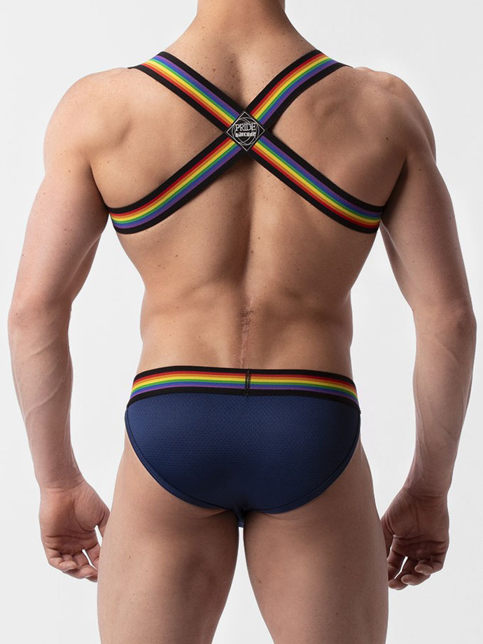 https://new.poppers.com/images/product_images/popup_images/92244_barcode_harness_pride_eternity__3.jpg