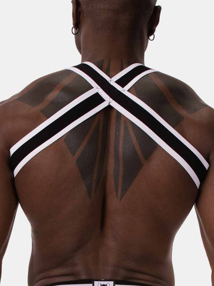 https://new.poppers.com/images/product_images/popup_images/92433-harness-bottom__3.jpg