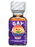 GAY SECRET big